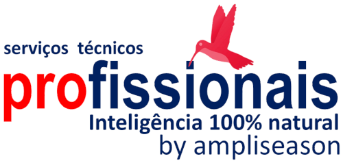 assistência caldeiras aquecimento central assistência técnica caldeiras e aquecimento central